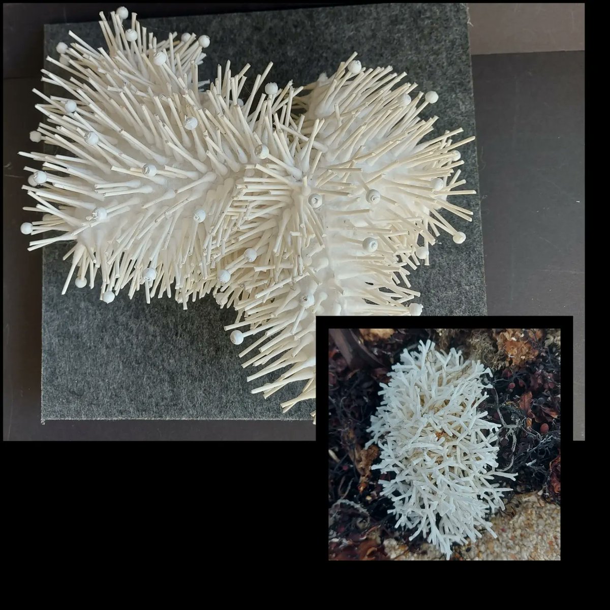Coral inspired sculpture.#textileart #sculptire #textileartist #textilesfineart #contemporarytextiles #art #macrophotography.