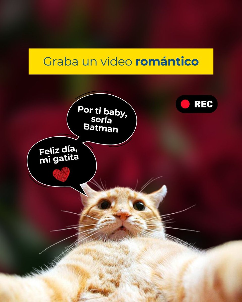 Noti90Minutos's tweet photo. #Noti90 El Día del Amor y la Amistad ❤ está por llegar Karen, y como soy el mejor de todos tus amigos 😬 te daré mis #MichiTips 🐈 para que disfrutemos este día al máximo.
Ojo, mínimo me merezco unas 'croqueticas' 😺
HILO🧵 https://t.co/KA3nk1wAvh
