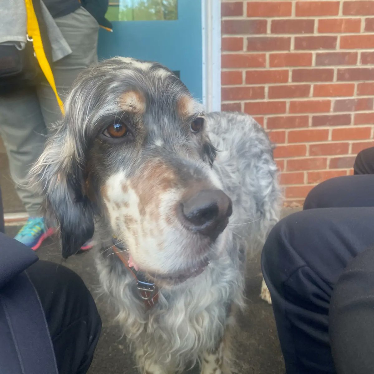 Stalham High School tweet media