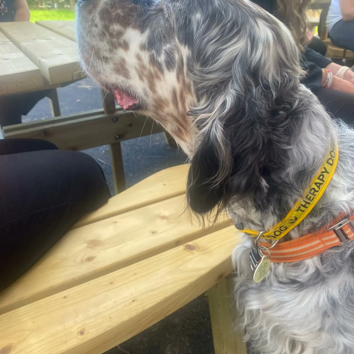 Stalham High School tweet media