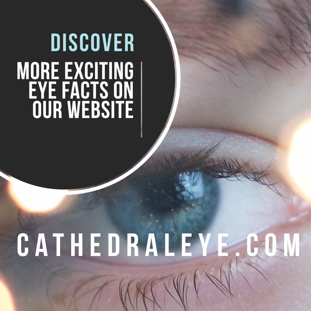 🌈 Color Vision: Did you know our eyes can distinguish between approximately 2 to 7 million colors? 😲👁️

Discover more interesting eye facts on our website.

cathedraleye.com