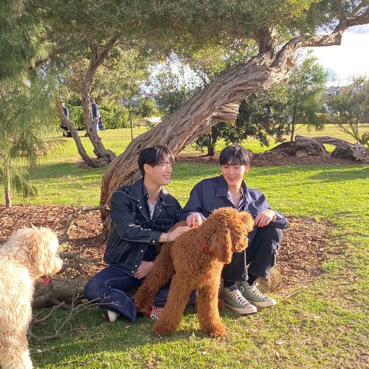 binniemini's tweet photo. 사랑해  #지상최고유닛_딴콩_3주년축하해 https://t.co/IYbz9q6OfG