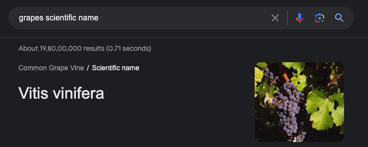 prateek_0490's tweet photo. We aimed to create a straightforward tool for tracking our team's GitHub activities, safeguarding sensitive info.

Check out Vinifera's journey so far: https://t.co/unG2BjVNUw

Fun fact: We named it "Vinifera" as our security team munched on grapes while brainstorming! 🍇 #Vinifera #infosec #infosecurity
