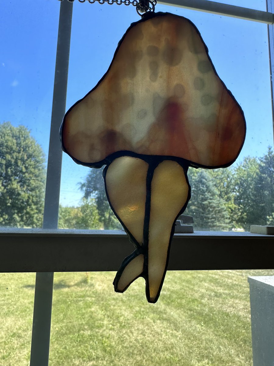This stained glass project for a good friend was so fun to create 🤭👅🍆🐱🍄