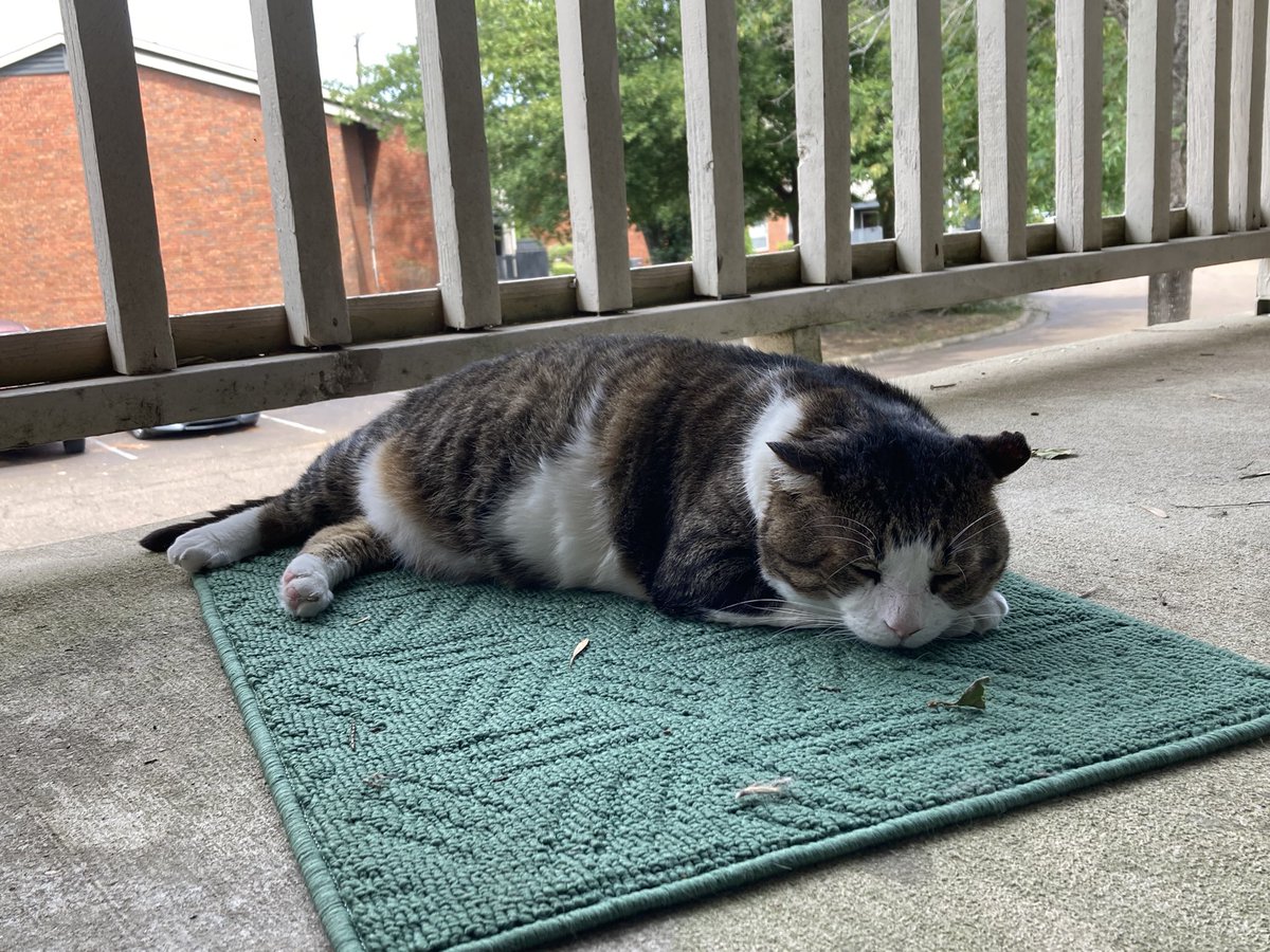 POV: communal porchnappies tiem.
