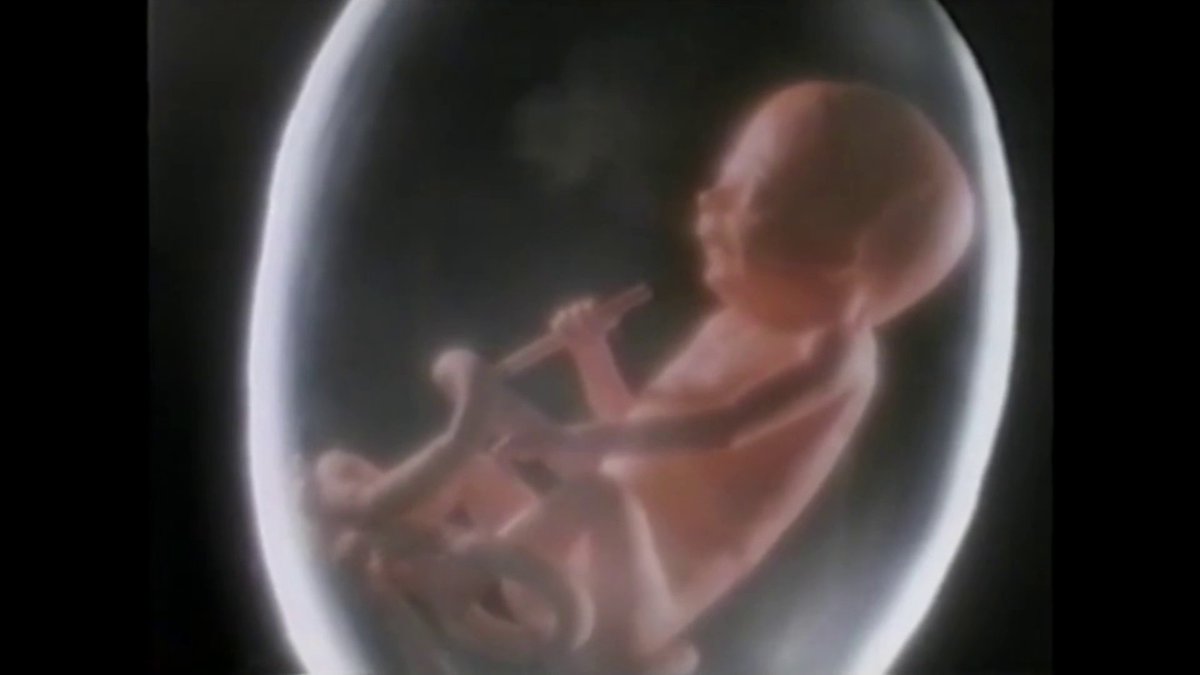kevbonesy's tweet photo. I have compiled all of David Fincher's music videos into one video file (4h21m) and did the same for all his commercials (1h28m). All individual clips also included. Special thanks to @FincherAnalyst for hosting almost all of these clips.

GDrive: https://t.co/gz00CDR5rX https://t.co/oxjWl8mu8C
