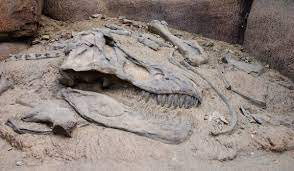 PabloPaz124's tweet photo. ¡LOS PERSONAJES DE SPIELBERG SIGUEN ESCAPANDO! Hoy en la madrugada se encontraron restos de los dinosaurios de Jurassic Park, se cree  que se escaparon junto a ET y otros personajes que no fueron reconocidos, seguiremos informando.  
#YaEsta #HaganlosParar #Spi https://t.co/khUzunBjmM