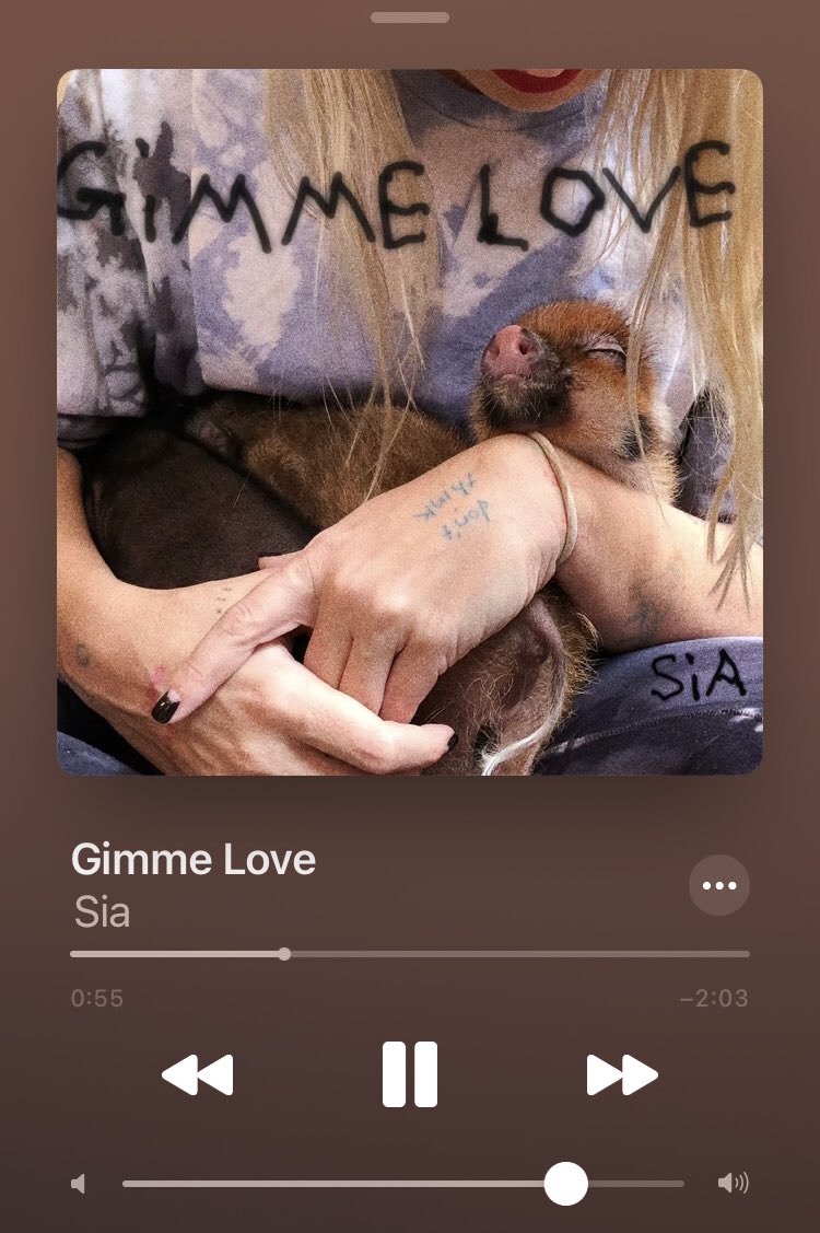 erickramc's tweet image. I LOVE IT 😭 SIA IS BACK #GimmeLove  @Sia