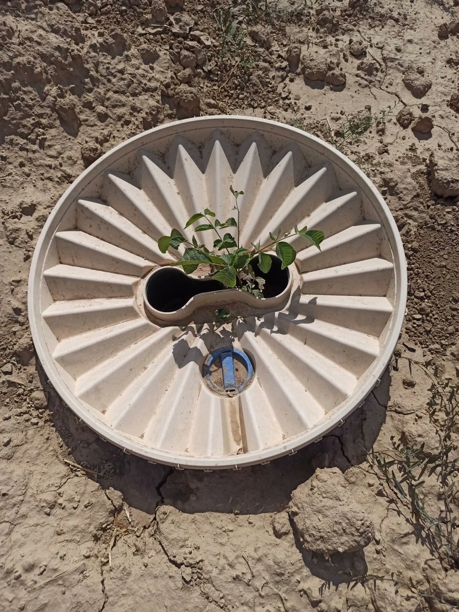 groasis's tweet image. Re-greening Uzbekistan’s desertified Aral Sea region. In the 1960s the Aralkum desert didn’t exist and the area was covered by the giant Aral Sea. 
The #Waterboxx you can succesfully regreen these areas contact our distributor; greenlightdeserts.uk/groasis-waterb…
worldnewsera.com/news/europe/re…
