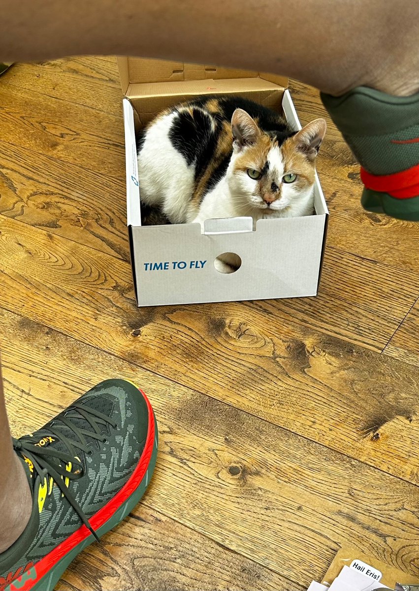 Rosewind2007's tweet photo. Cat!
Cat in a box!
#CatsofTwittter
#CatsOfTwitter
#tinks https://t.co/MHzHLtVJpg