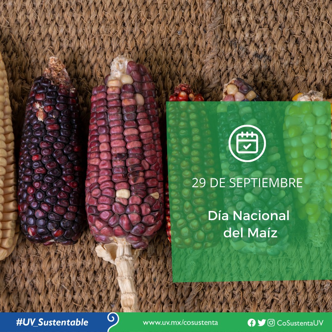 CoSustenta UV tweet media