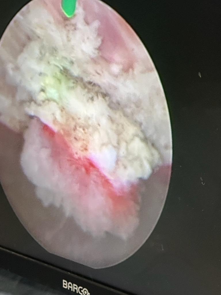 Great time with our visiting professor ⁦<a href="/JLVasquez82/">Juan Luis Vásquez</a>⁩ !