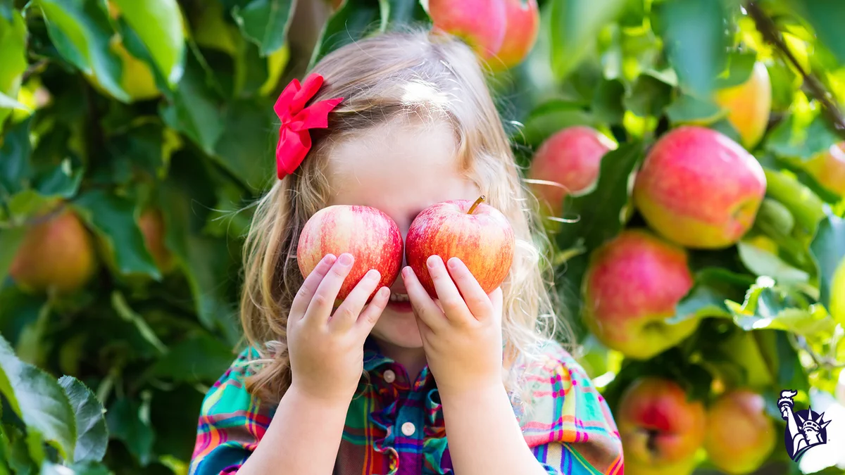 Close-up of a little girl standing in front of an apple tree. She is holding two apples in her hands and using them to cover her eyes.