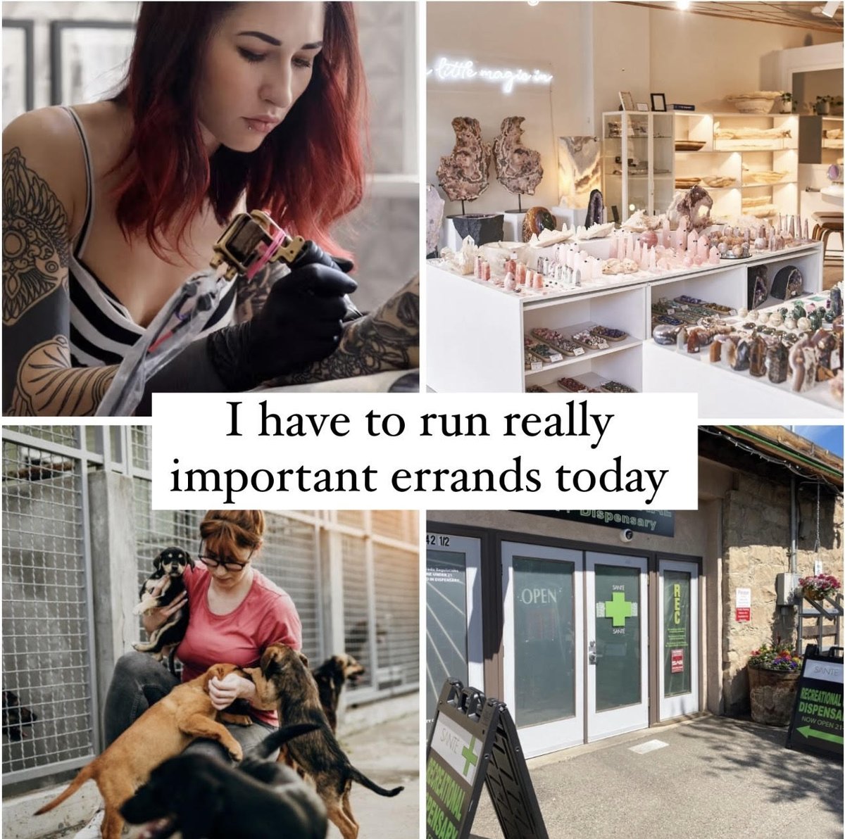 stonedk1tty's tweet photo. My errands are important AF https://t.co/Jl4JItxIWd