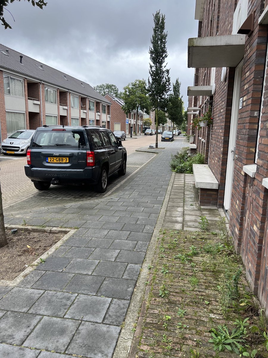 EJ Br🕊kkenrijder tweet media