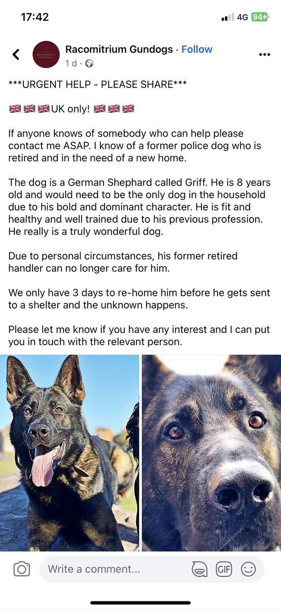 James, Buster and Blade tweet media