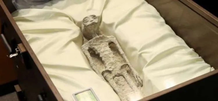 İşte beklenen 6 numara KOC01 abd 59. Bölgeden havalandı #6NumaraHemenŞimdi