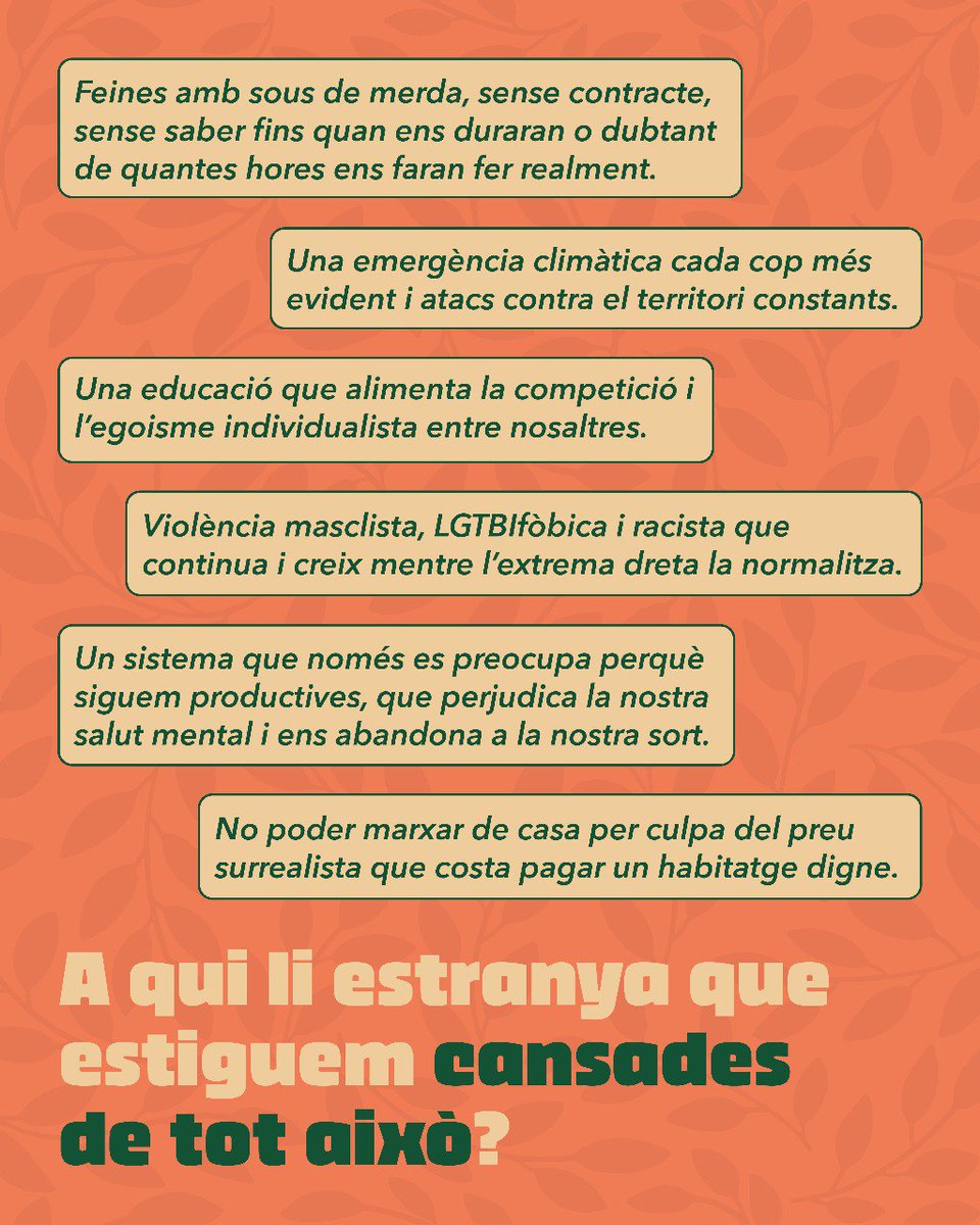 El Sidral tweet media