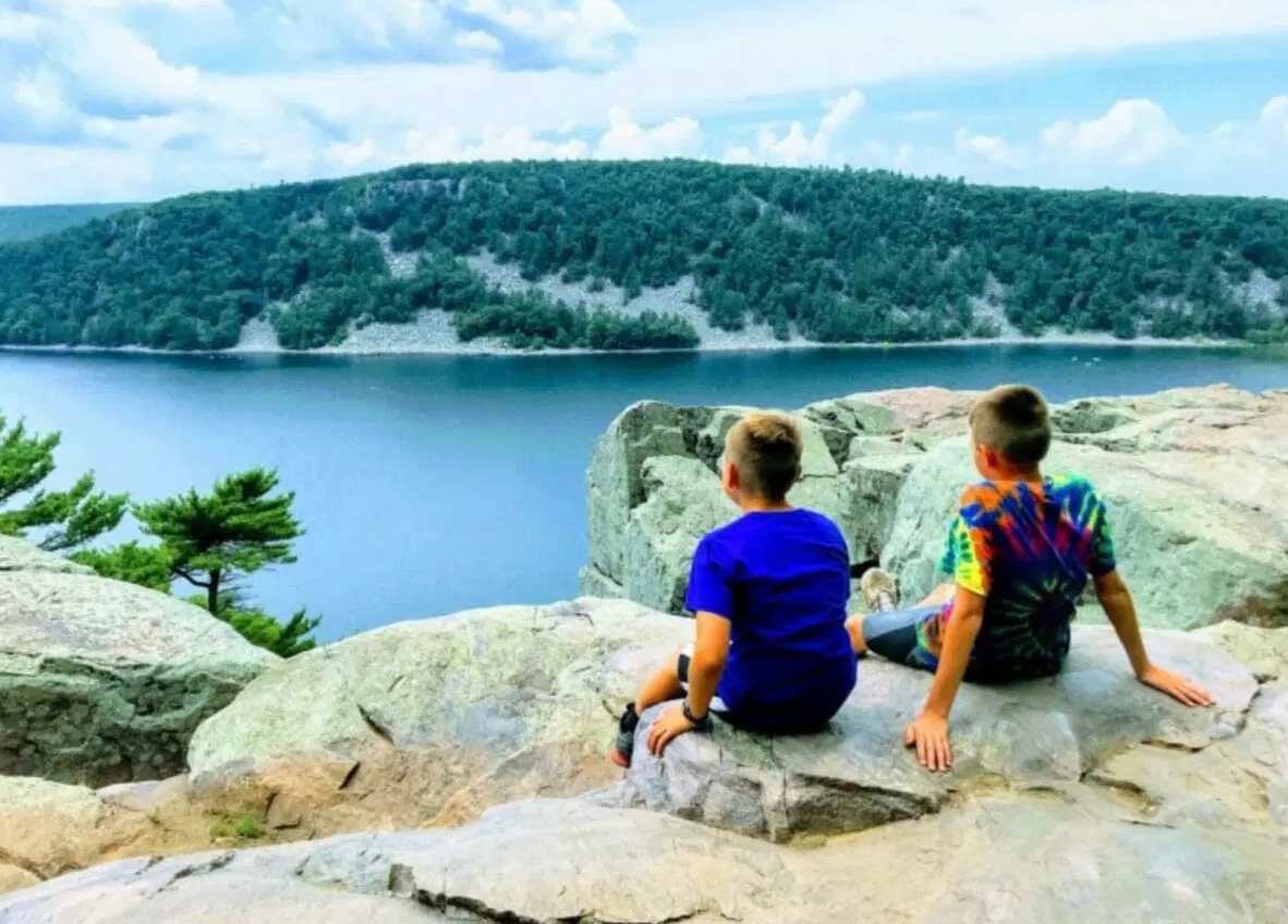 Crazy Family Adventure tweet media