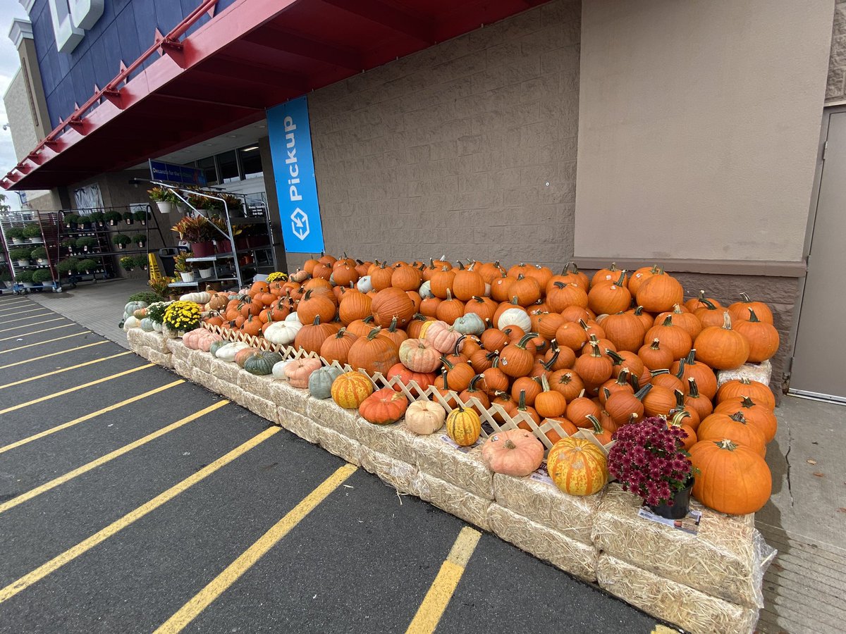 Brian Smith (@briansm15974278) on Twitter photo All about front presentation here at 1942 East Rutherford!! Pumpkins Pumpkins Pumpkins! Let’s go!!! <a href="/GreggFreyer/">Gregg Freyer</a> <a href="/michaelO1366/">Michael Owens</a> @Sara_AHRBP <a href="/Lowes/">Lowe's</a> <a href="/TweetUsR30/">TweetUsR30</a> @DonnaBucci1942 <a href="/SamCharles07/">Sam Charles</a> All about front presentation here at 1942 East Rutherford!! Pumpkins Pumpkins Pumpkins! Let’s go!!! <a href="/GreggFreyer/">Gregg Freyer</a> <a href="/michaelO1366/">Michael Owens</a> @Sara_AHRBP <a href="/Lowes/">Lowe's</a> <a href="/TweetUsR30/">TweetUsR30</a> @DonnaBucci1942 <a href="/SamCharles07/">Sam Charles</a>