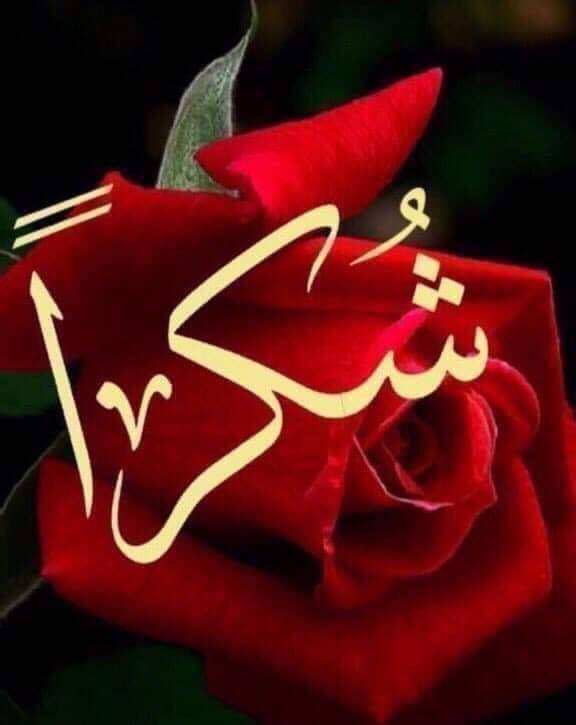 ABDURHIM🇪🇬 tweet media