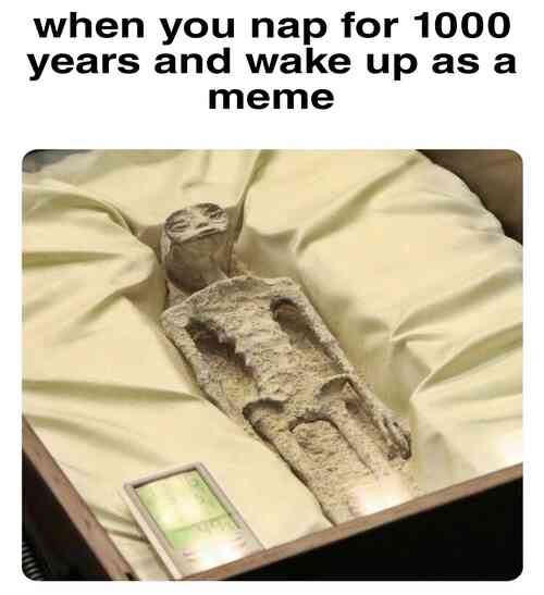 luxicated's tweet photo. #mexico #Aliens #meme #Congress #UFO #Extraterrestrial #alien #alienbody #funny https://t.co/SBWBvnCVVD