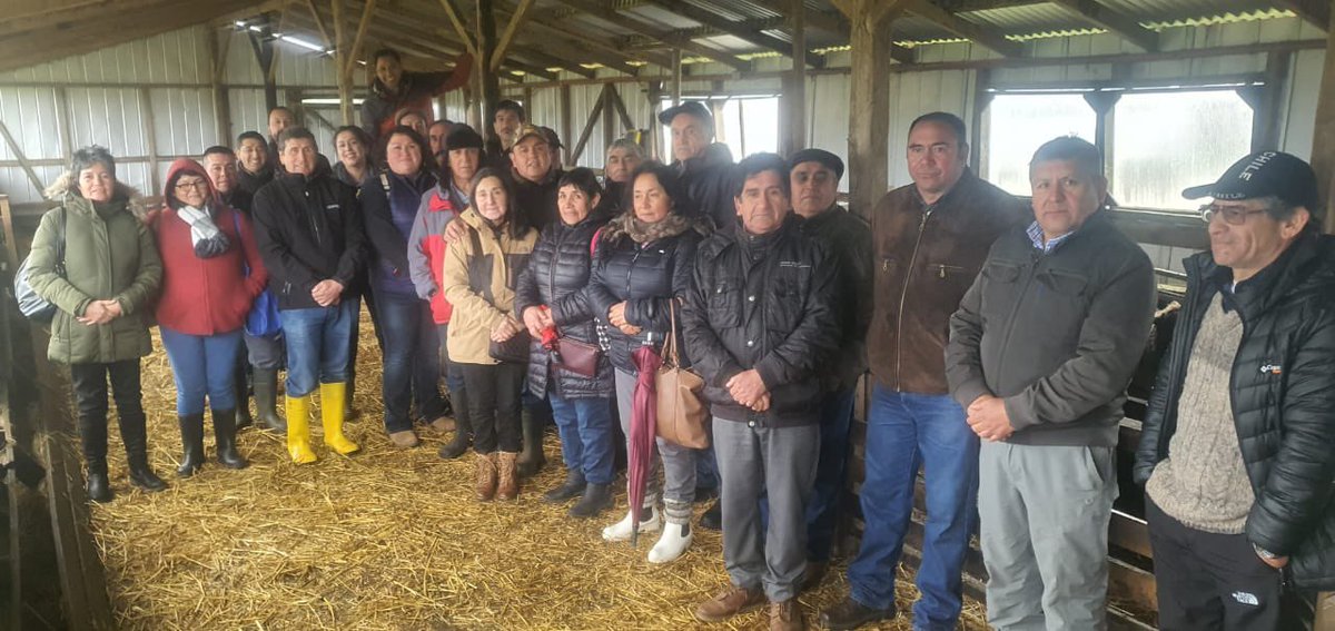 INIA_Chiloe's tweet photo. Esta mañana, sostuvimos una provechosa jornada de trabajo ovina en #IniaButalcura en #Chiloé, con el tema; “Manejo del último tercio de gestación en ovinos”, dirigido a productores(as) del rubro.  @iniachile @inia_remehue @IndapLosLagos @INDAP_Chile @MinagriCL @MinagriLosLagos https://t.co/kYLZUfCeXU