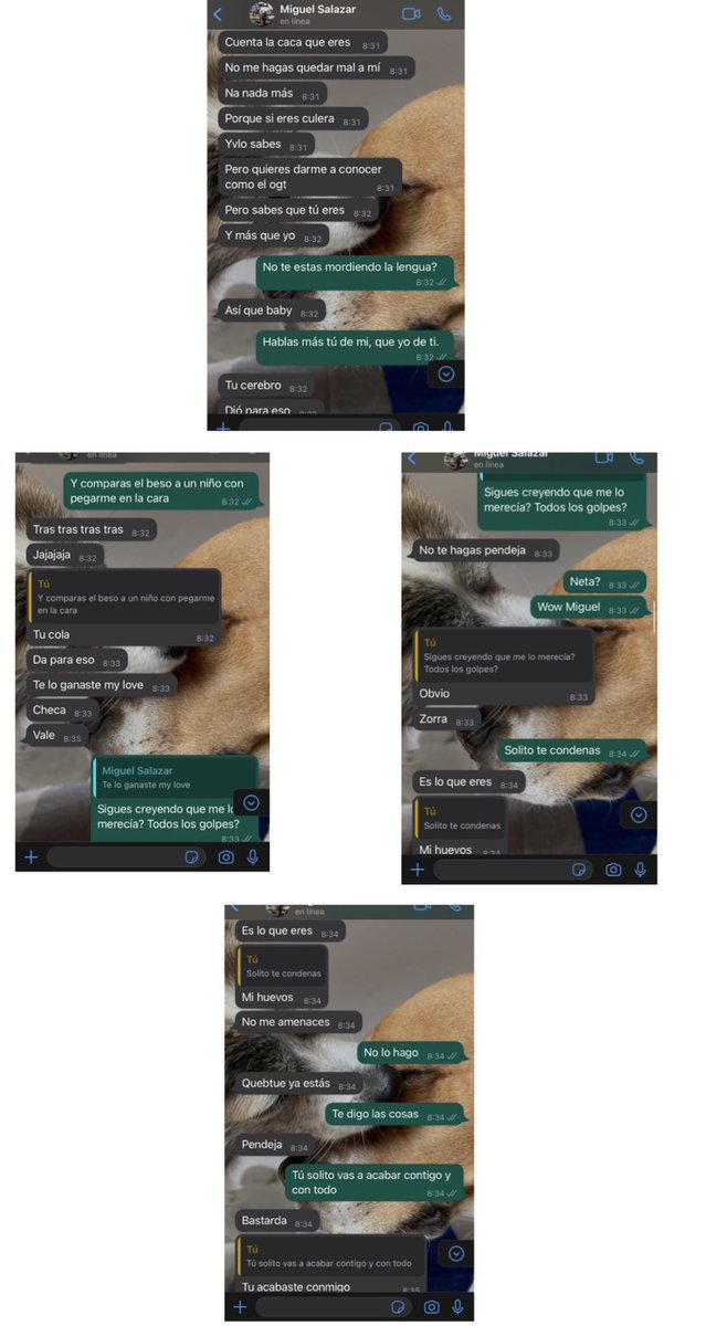thssii's tweet photo. CUIDÉMONOS ENTRE TODAS XQ LAS INSTITUCIONES NO LO ESTÁN HACIENDO  
Miguel Salazar me violentó emocional y físicamente por mas de dos años, denunciarlo parecía la mejor opción hasta que me di cuenta que el tiempo sigue pasando y ni siquiera se le ha notificado.  @FiscaliaCDMX https://t.co/rDdgk1Vysh