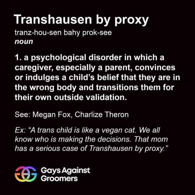 Gays Against Groomers (@againstgrmrs) on Twitter photo 