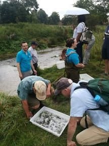 Thank you to the Chiltern Chalk Streams project for an excellent RiverFly Day hosted at the Box Moor Trust. Really interesting talks and great to meet fellow Riverfly monitors. A good chance to refresh our monitoring technique with a visit to the River Bulbourne.