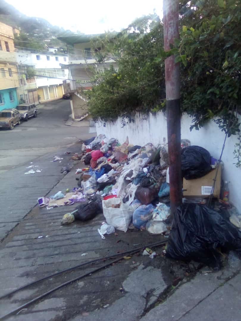 Janrely's tweet image. Calle el Rosario Santa Rosa callejón Dr Pedro Araujo Más de un mes si el servicio ya no se aguanta el mal olor @NicolasMaduro @GobTrujillo @CESAP_AC @Diario_Tiempo @diariodlosandes @laverdadweb
