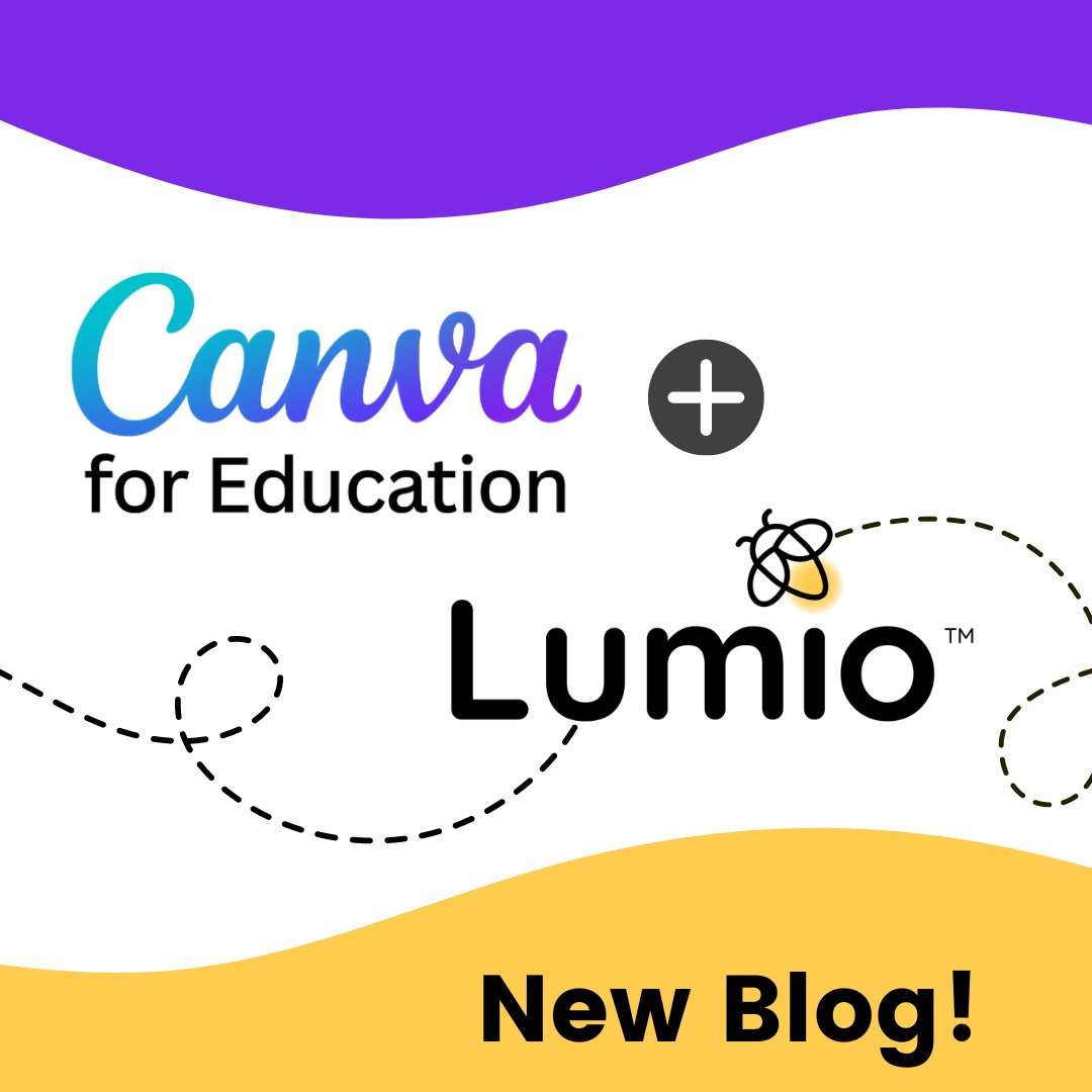 Lumio 💛 tweet media