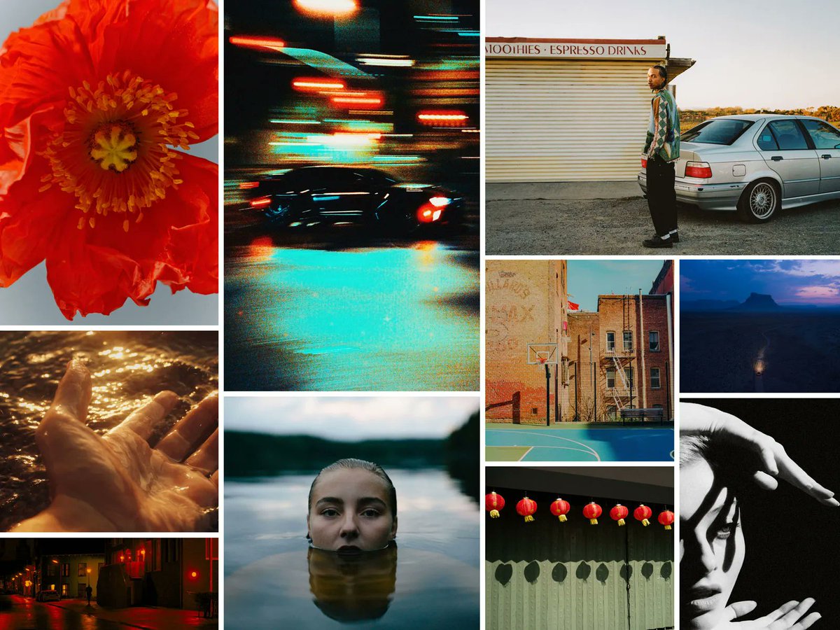 Dribbble tweet media