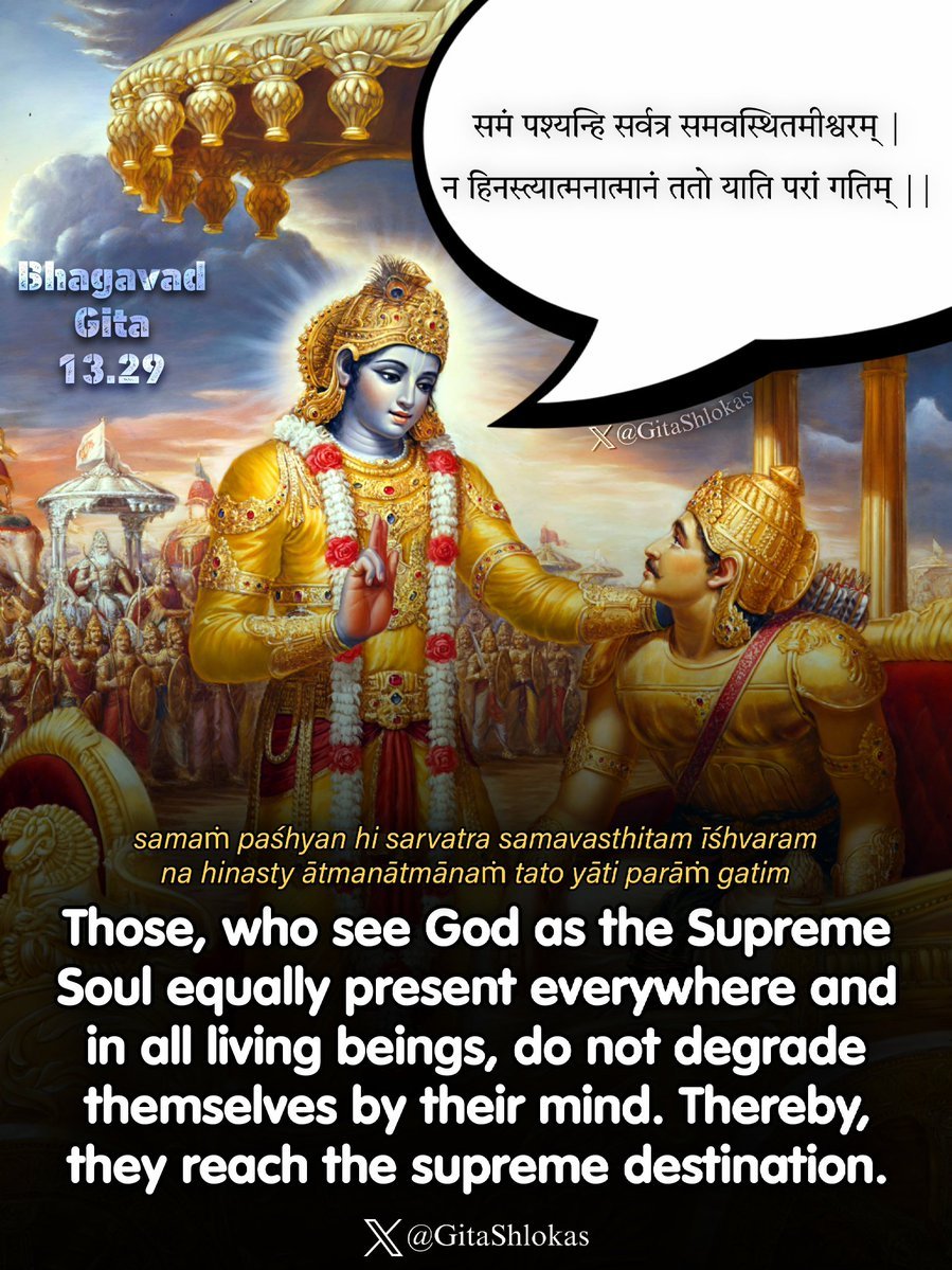 Bhagavad Gita 13.29 ❤️