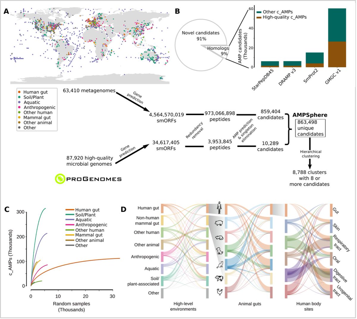 Fantastic collaboration with @BigDataBiology. With machine learning, we uncovered a whole new world of antimicrobials (~1 M!) in this first exploration of the entire global microbiome + provide ground-truth experimental validation in preclinical models.
biorxiv.org/content/10.110…