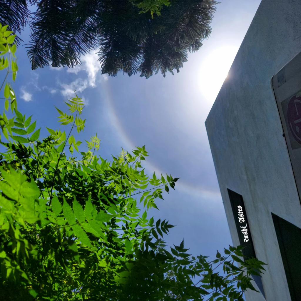 spacethings15's tweet photo. Halo Sun... 📞>>>>🌞

Tags..#Sun
#halosun
#astronomy 
#astrophotography 
#solarhalo https://t.co/yhrUPK9CRj
