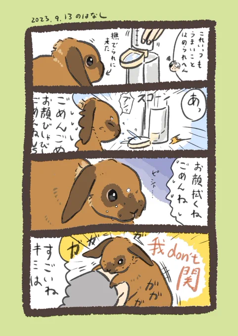 豪胆USA…

#うさぎのいる生活 
