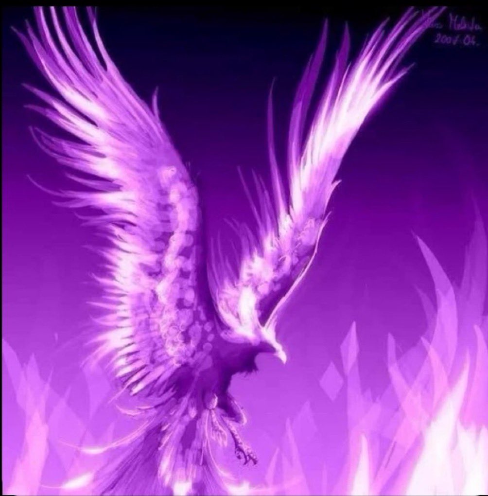 Gerard Piqué (@3gerardpique) on Twitter photo 