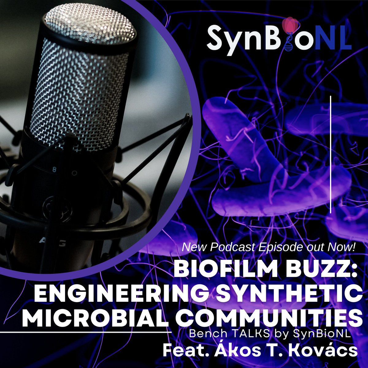 SynBio_NL's tweet photo. 🔥🔬What are the mind-blowing secrets of crafting synthetic microbial communities?🤔🦠

We spoke with the renowned biofilm expert Ákos T. Kovács @EvolvedBiofilm in our latest Bench Talks episode to learn more!

Listen here👇 https://t.co/4QVTrD892j https://t.co/bmYLgtjCUn