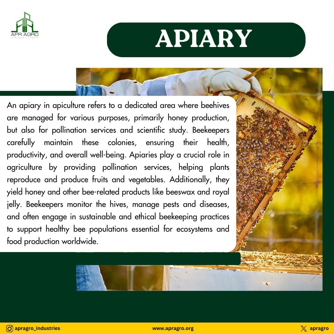 #agriculture #agri #apragro #agro #former #forming #apragro #plant #farming #apiary #apiarylife #apiarymade #apiarybuzz