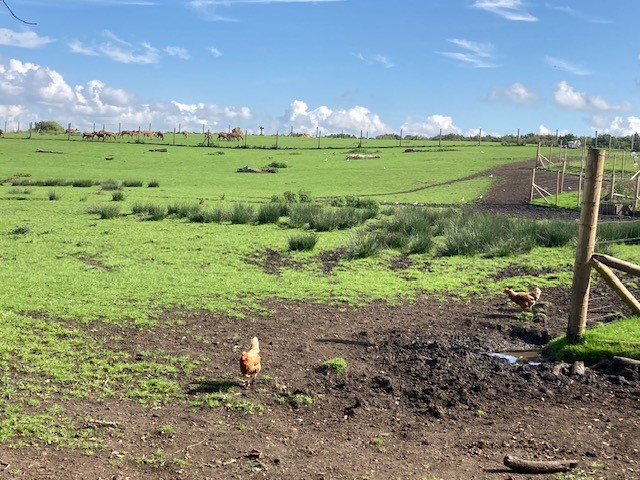 lindsaynoble's tweet image. The next @InvestRochdale #netwalk is taking place on Wed 20 Sept around Hopwood in Middleton. Great way to meet local businesses and get some exercise at the same time. We&apos;re meeting at 8.30am in the car park outside St Anne&apos;s Academy M24 6XN #networking