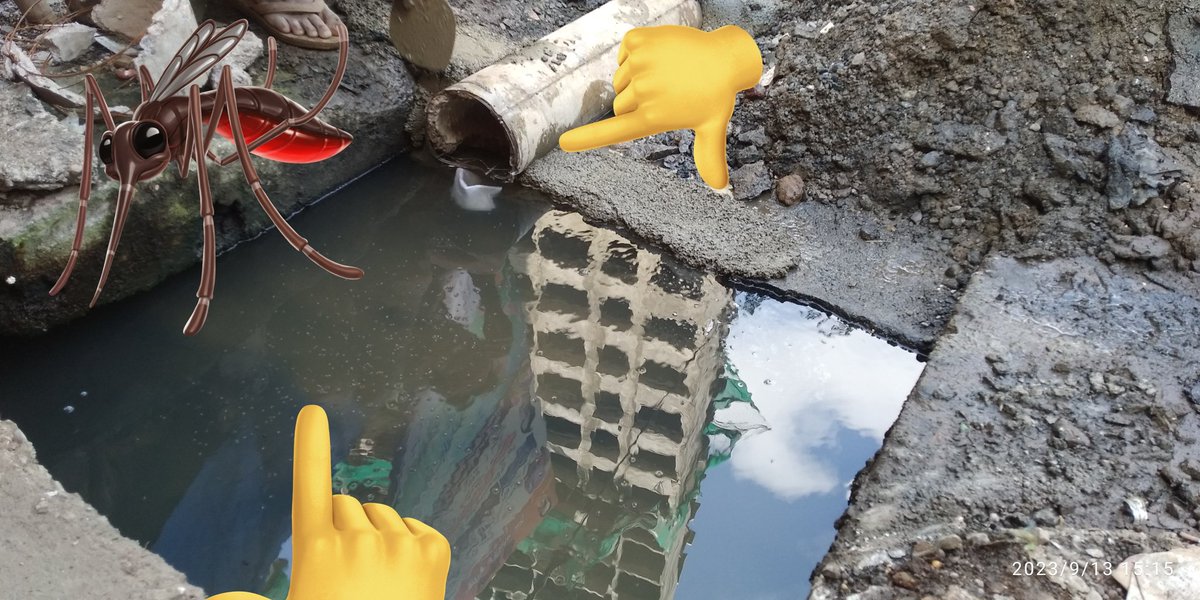 Abbaschatriwala's tweet photo. @mybmcWardE @ImranSopariwa51 @mybmc @CMOMaharashtra @MadanpuraC @mid_waytimes @psamsad111 @Petition_Group @v_mumbadevi @MumbadeviPraja @JaihindSattar cosmetic repair BY #Eward sewage drainage overflow pipe in @mybmcSWD storm water line. #mumbaikar Suffer #Dengue #malaria? helping #Pharmalobby? @mieknathshinde no cleaning of drianage line? #mhada #Ghorapdev #Mumbai33 @IASassociation guide ur memberS
@AUThackeray
@iitbombay #sos https://t.co/zzNcXp3hay
