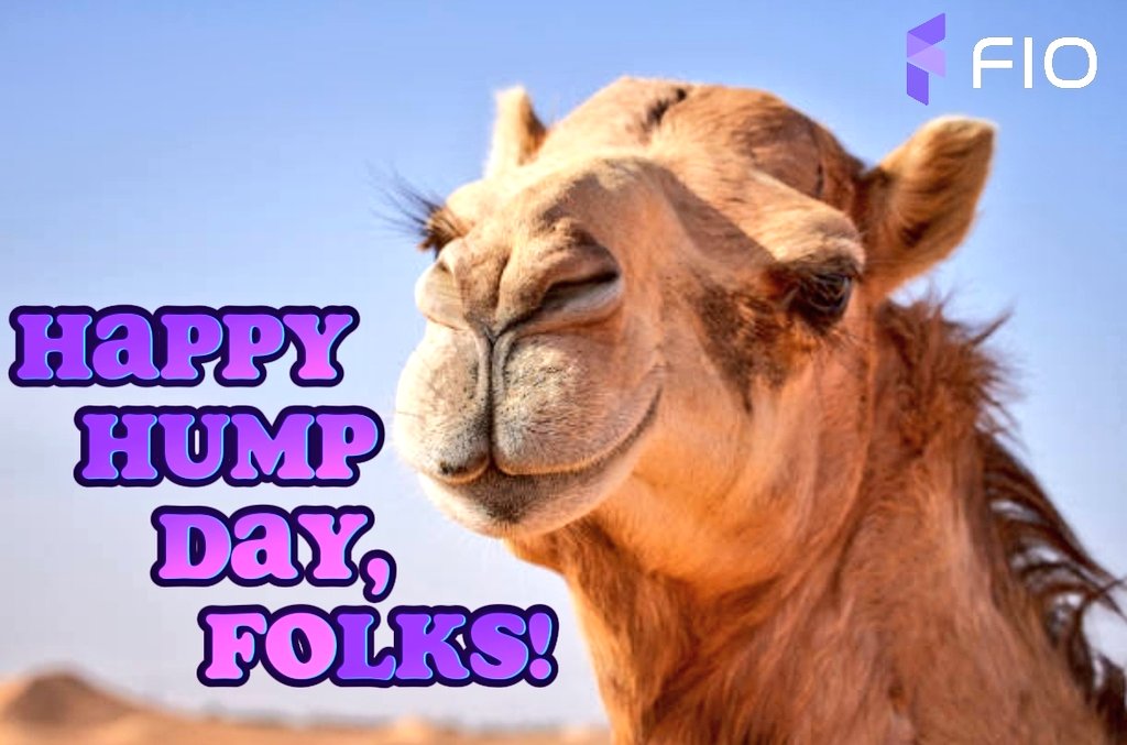 FIO Protocol tweet media