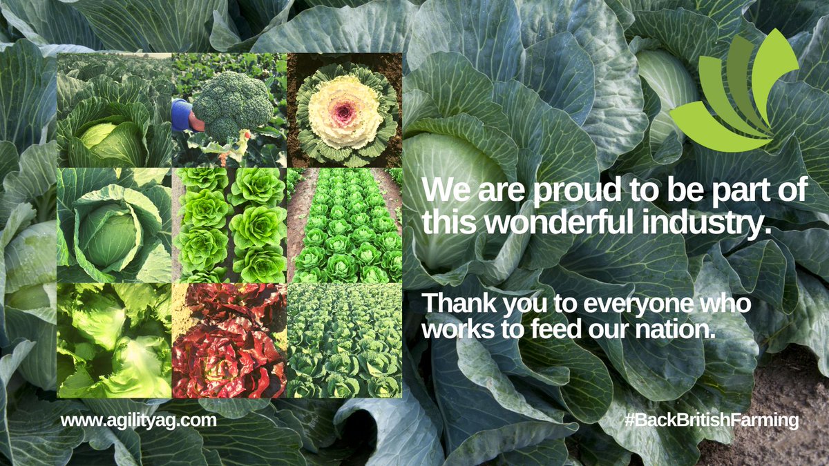 Agility Agriculture (@agility_ag) on Twitter photo Happy #BackBritishFarmingDay to everyone who works so hard to feed our nation. 😃😃🇬🇧 🥦🥕 <a href="/BritishGrowers/">British Growers</a> <a href="/NFUtweets/">National Farmers' Union</a> #harvest2023 #farming #growers Happy #BackBritishFarmingDay to everyone who works so hard to feed our nation. 😃😃🇬🇧 🥦🥕 <a href="/BritishGrowers/">British Growers</a> <a href="/NFUtweets/">National Farmers' Union</a> #harvest2023 #farming #growers