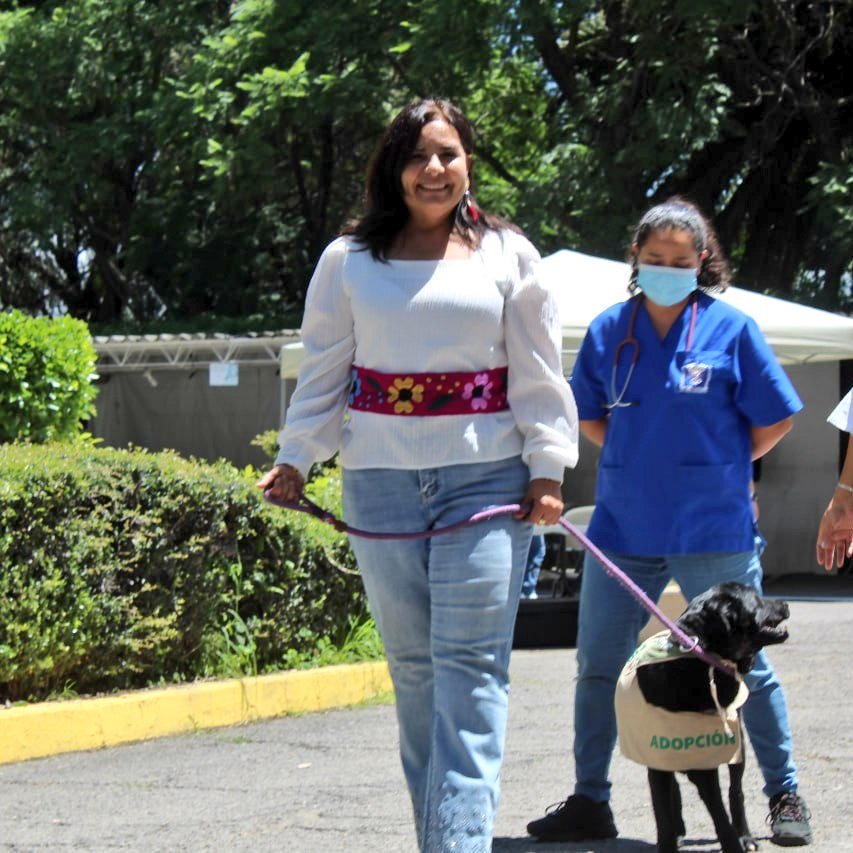 BetyManrique's tweet image. ¿Y si adoptas?
El el @IBAGobPue seguro tenemos, un 🐶🐱 que es el perfecto para tu familia!
Por ejemplo este galán🦮:
"Esponjoso" un lesionado de la explosiones de San Pablo Xochimehuacán y que ¡ya está rehabilitado! Es tranquilo, tiene 6 años y será sin duda tu gran compañero🐕