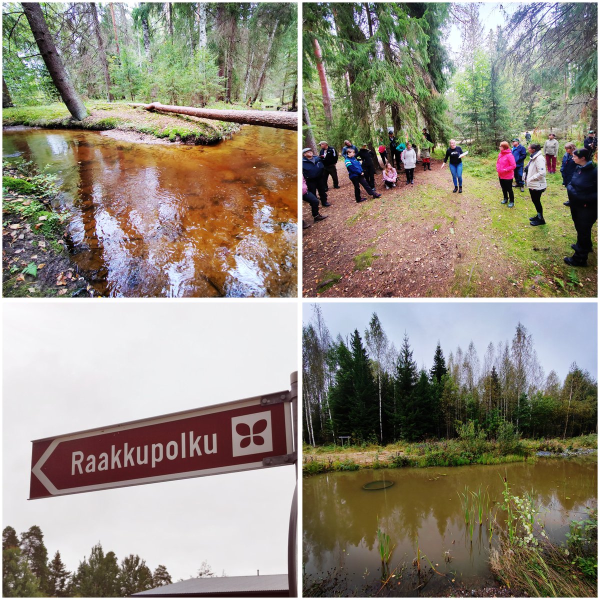 JJJussi's tweet photo. Raakku esillä ympäristöhallinnon #luonnonsuojelu'n neuvottelupäivillä! @LIFERevives -hankkeessa kunnostetaan Hämeenkyrön Turkimusojaa jokihelmisimpukan suojelemiseksi. Maankäyttö ja kiintoaines tämän upean lajin uhkana.  @Luontopalvelut @uniofjyvaskyla @PIRELY_ALU @LIFERevives https://t.co/sWVPukqf5L