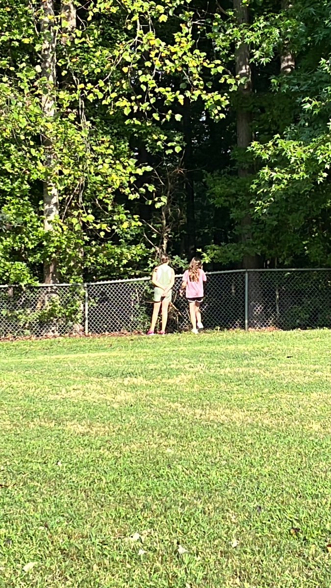 Exploring the outdoors looking for the notorious nine spotted ladybug 🐞 #lostladybugproject #scienceisfun #citizenresearchers <a href="/Lead_Mine/">Lead Mine Elementary</a>