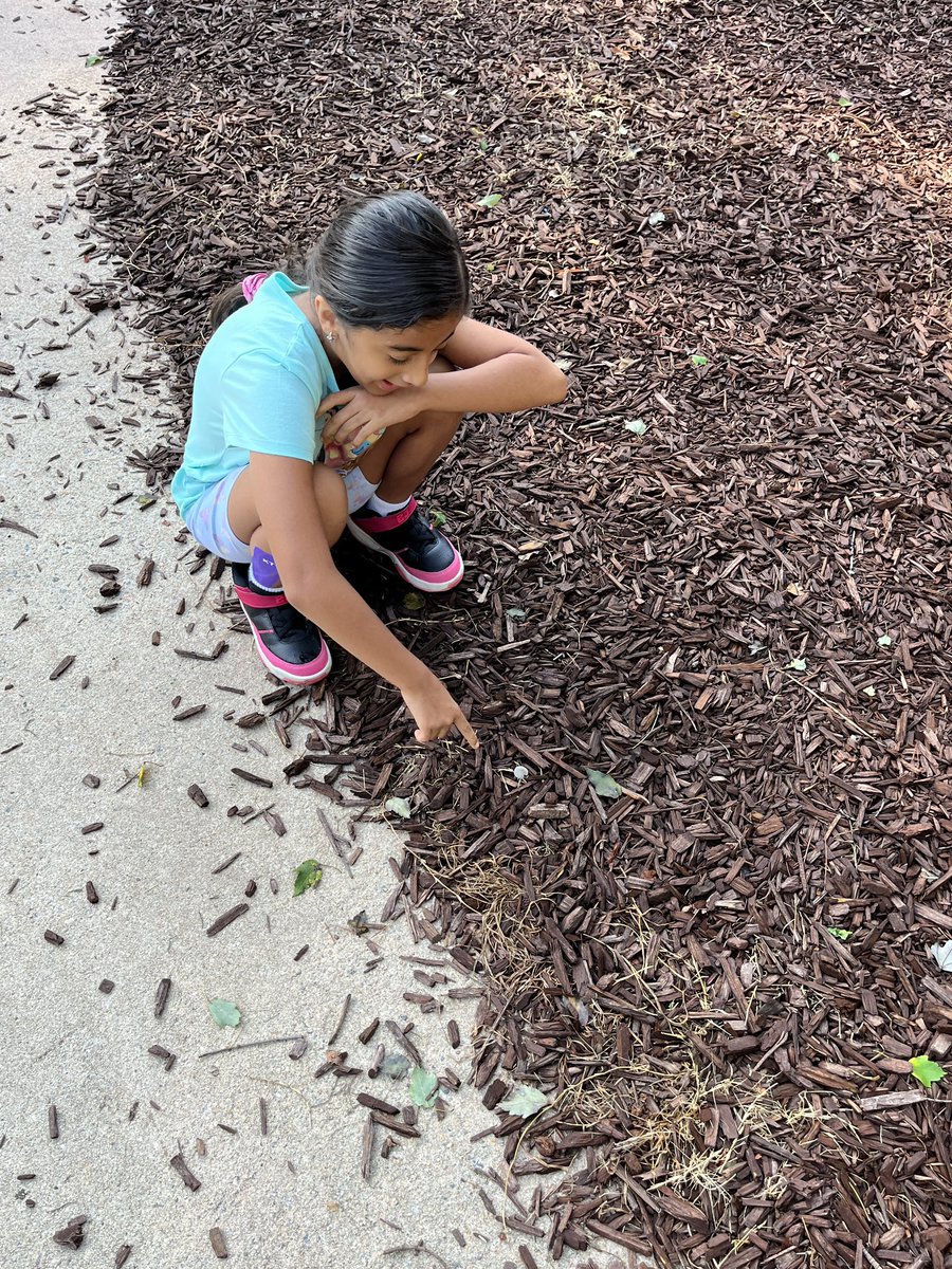 khoov78's tweet photo. Exploring the outdoors looking for the notorious nine spotted ladybug ๐ #lostladybugproject #scienceisfun #citizenresearchers @Lead_Mine https://t.co/M6UsOtHHPB