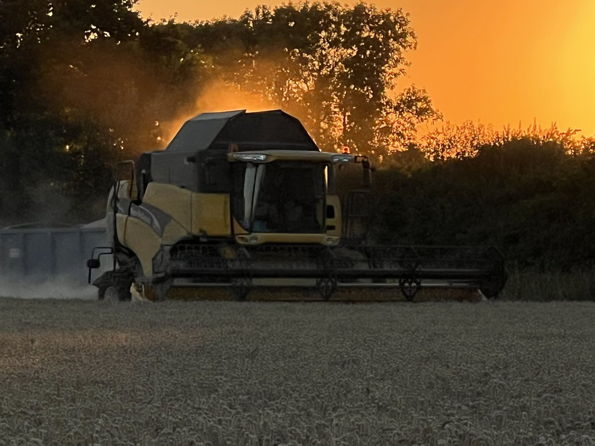 It’s #BackBritishFarmingDay and I am celebrating by posting lots of pictures of my combine 😁 #BackBritishFarming 🇬🇧🇬🇧🇬🇧