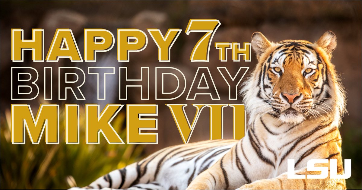 LSU's tweet image. Wishing our favorite big cat the happiest of birthdays today 🐯💜💛

Happy 7th birthday, Mike VII!